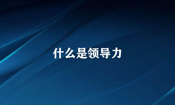 什么是领导力