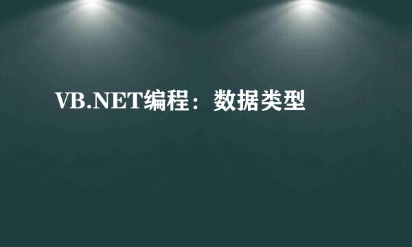 VB.NET编程：数据类型
