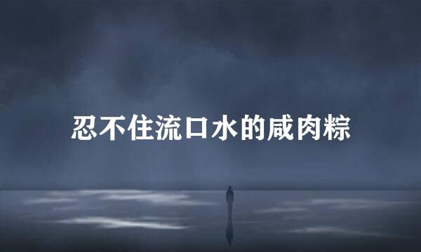 忍不住流口水的咸肉粽