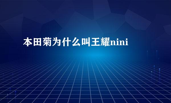 本田菊为什么叫王耀nini