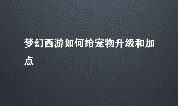 梦幻西游如何给宠物升级和加点