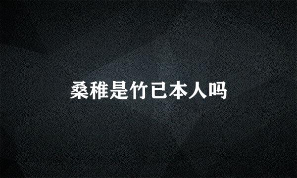桑稚是竹已本人吗