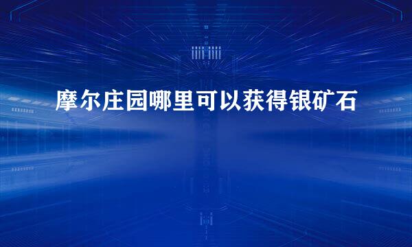 摩尔庄园哪里可以获得银矿石
