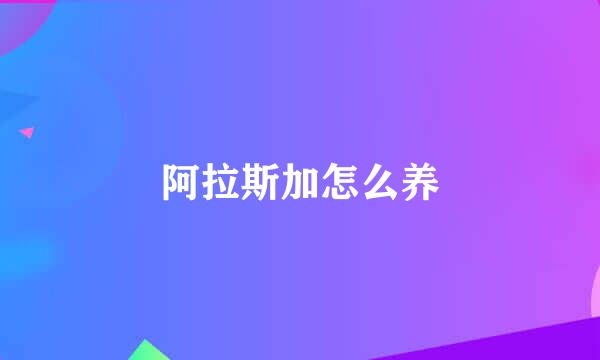 阿拉斯加怎么养