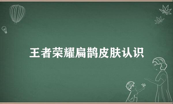 王者荣耀扁鹊皮肤认识