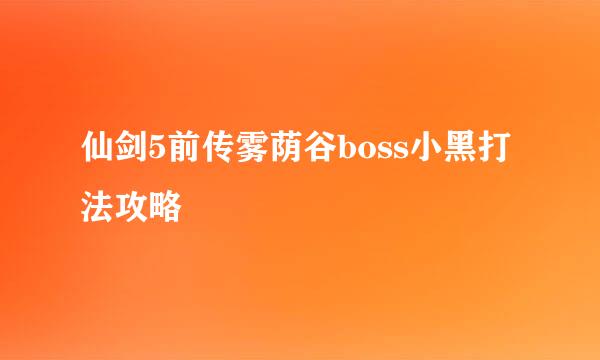 仙剑5前传雾荫谷boss小黑打法攻略