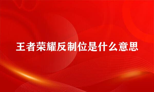 王者荣耀反制位是什么意思