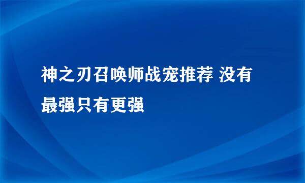 神之刃召唤师战宠推荐 没有最强只有更强