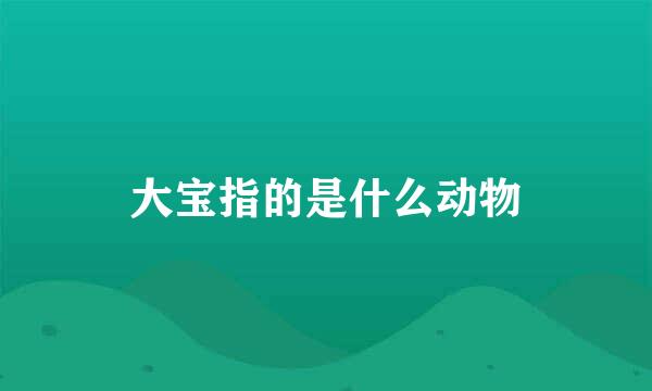 大宝指的是什么动物