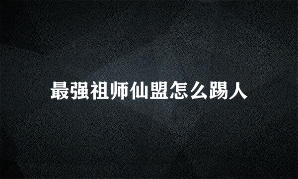 最强祖师仙盟怎么踢人