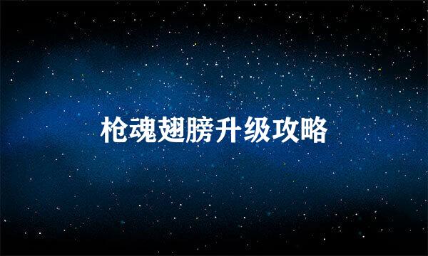 枪魂翅膀升级攻略