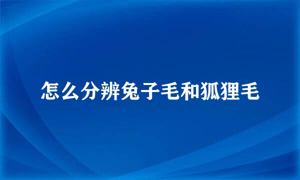 怎么分辨兔子毛和狐狸毛