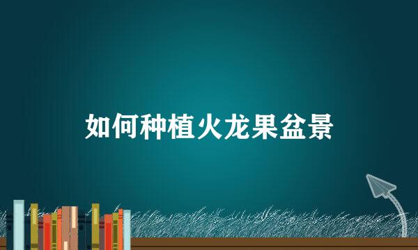 如何种植火龙果盆景
