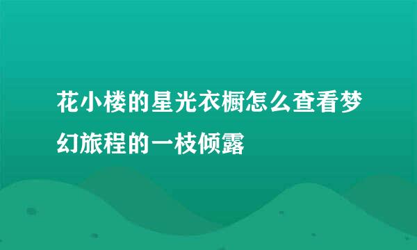 花小楼的星光衣橱怎么查看梦幻旅程的一枝倾露