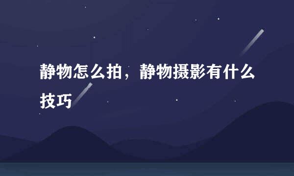 静物怎么拍，静物摄影有什么技巧