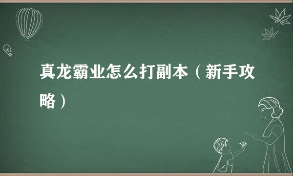 真龙霸业怎么打副本（新手攻略）