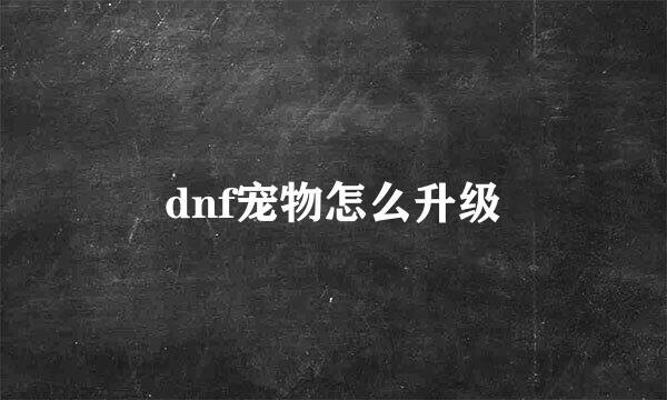 dnf宠物怎么升级