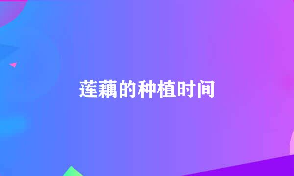 莲藕的种植时间