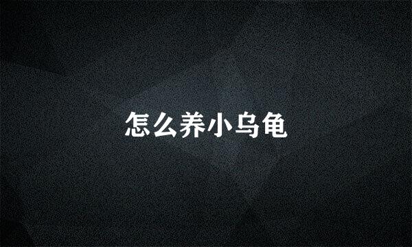 怎么养小乌龟