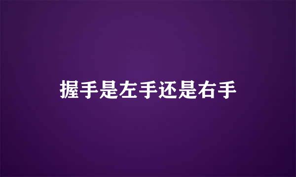 握手是左手还是右手