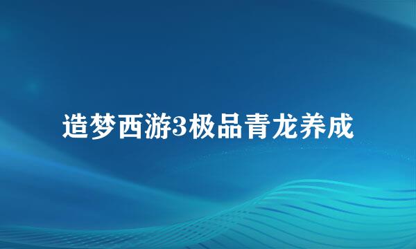 造梦西游3极品青龙养成