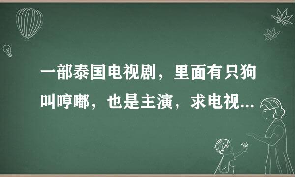 一部泰国电视剧，里面有只狗叫哼嘟，也是主演，求电视剧的名字