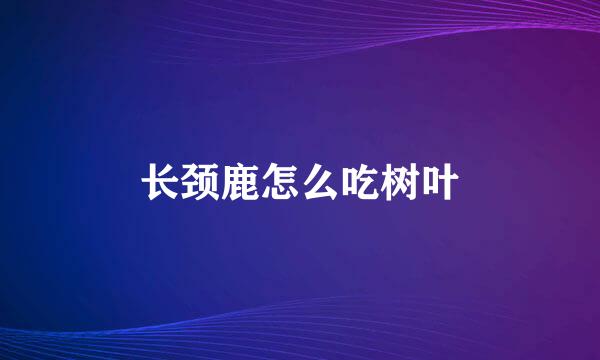 长颈鹿怎么吃树叶
