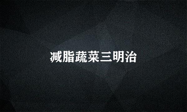 减脂蔬菜三明治