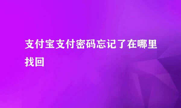 支付宝支付密码忘记了在哪里找回