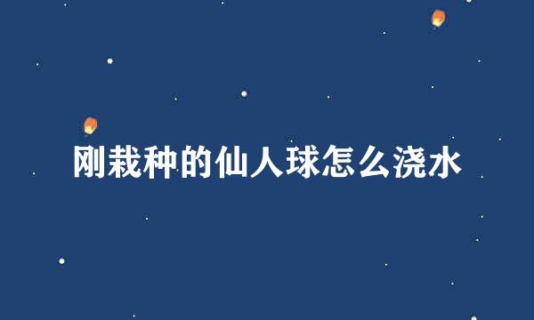 刚栽种的仙人球怎么浇水