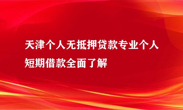 天津个人无抵押贷款专业个人短期借款全面了解