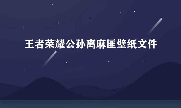 王者荣耀公孙离麻匪壁纸文件