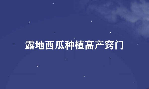 露地西瓜种植高产窍门