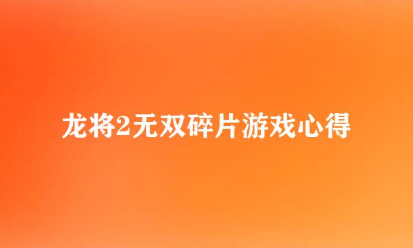 龙将2无双碎片游戏心得