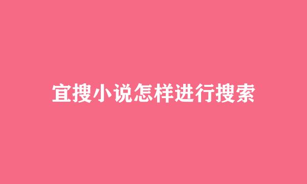 宜搜小说怎样进行搜索