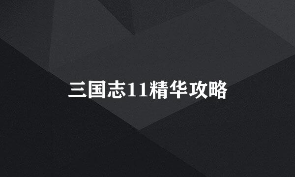 三国志11精华攻略