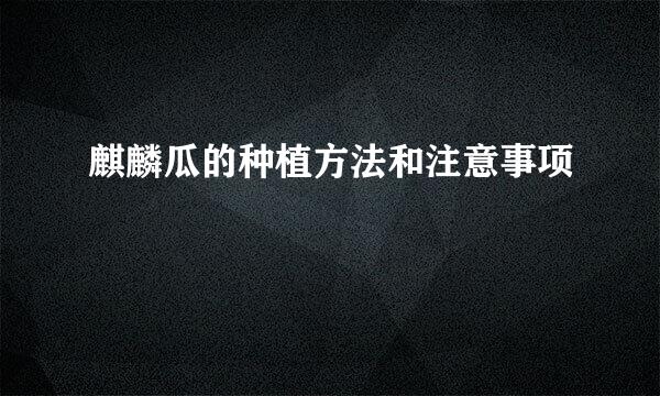 麒麟瓜的种植方法和注意事项