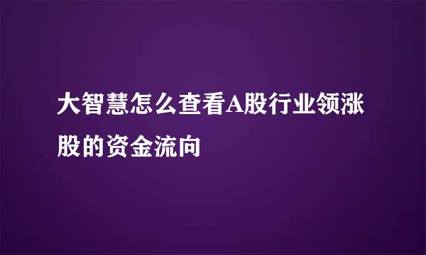 大智慧怎么查看A股行业领涨股的资金流向