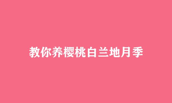教你养樱桃白兰地月季