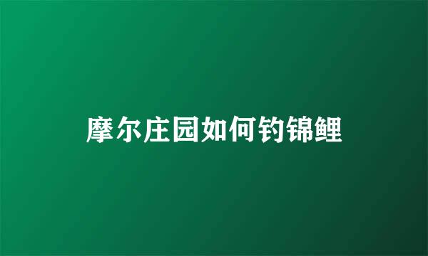 摩尔庄园如何钓锦鲤