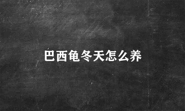 巴西龟冬天怎么养