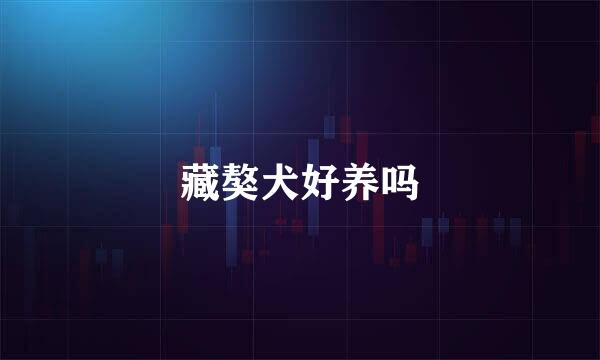藏獒犬好养吗