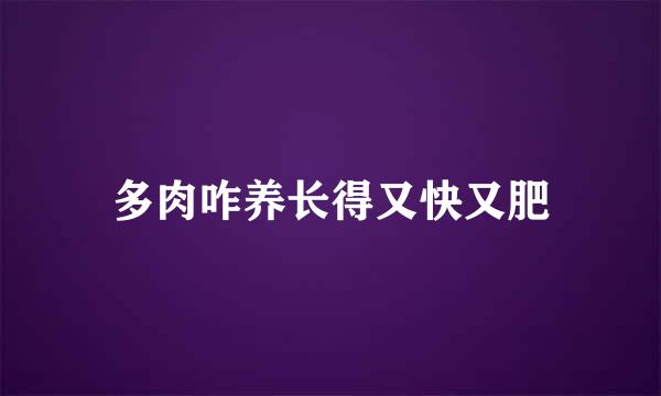 多肉咋养长得又快又肥