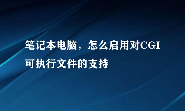 笔记本电脑，怎么启用对CGI可执行文件的支持