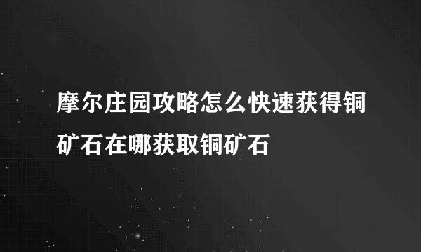 摩尔庄园攻略怎么快速获得铜矿石在哪获取铜矿石