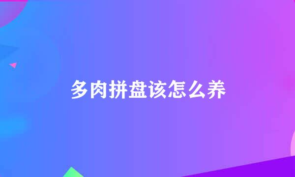 多肉拼盘该怎么养