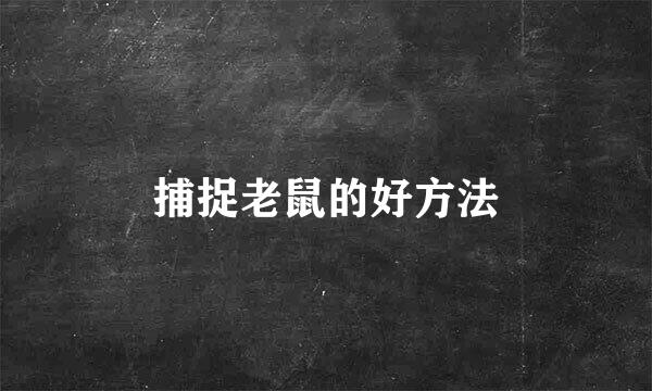 捕捉老鼠的好方法