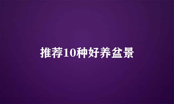 推荐10种好养盆景