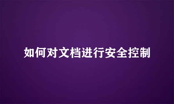 如何对文档进行安全控制