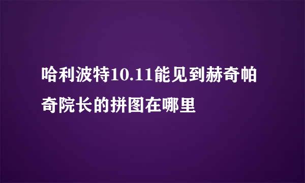 哈利波特10.11能见到赫奇帕奇院长的拼图在哪里
